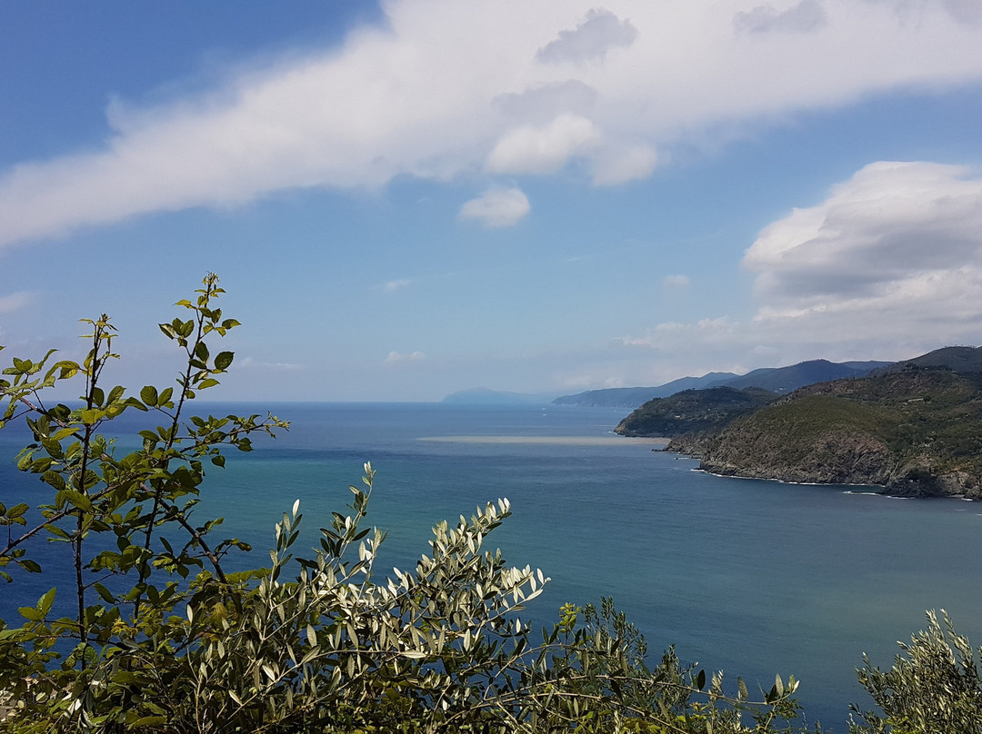 Levanto to Monterosso Trail景点图片