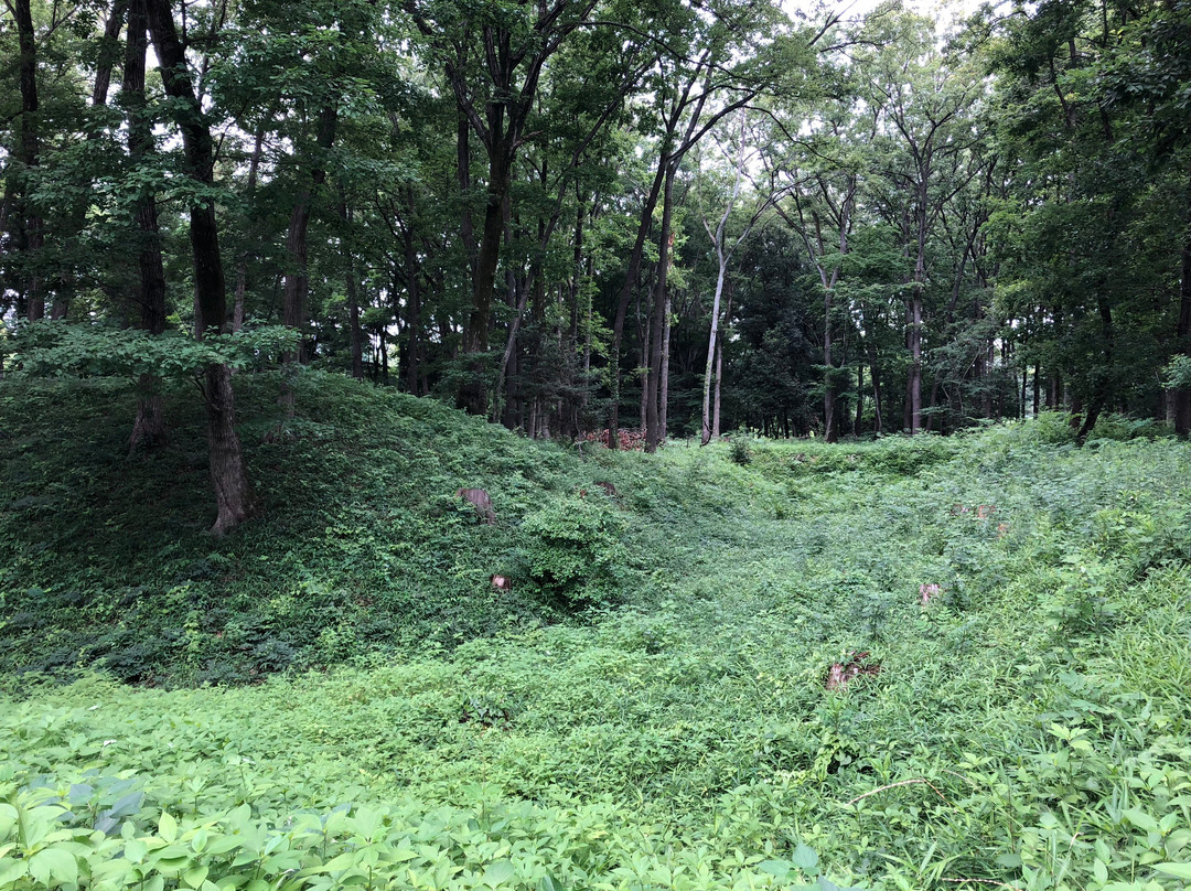 Sugaya Castle Ruins-岚山町必去景点