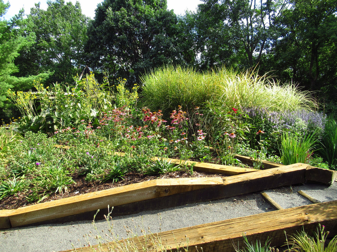 County Farm Park-安娜堡必去景点