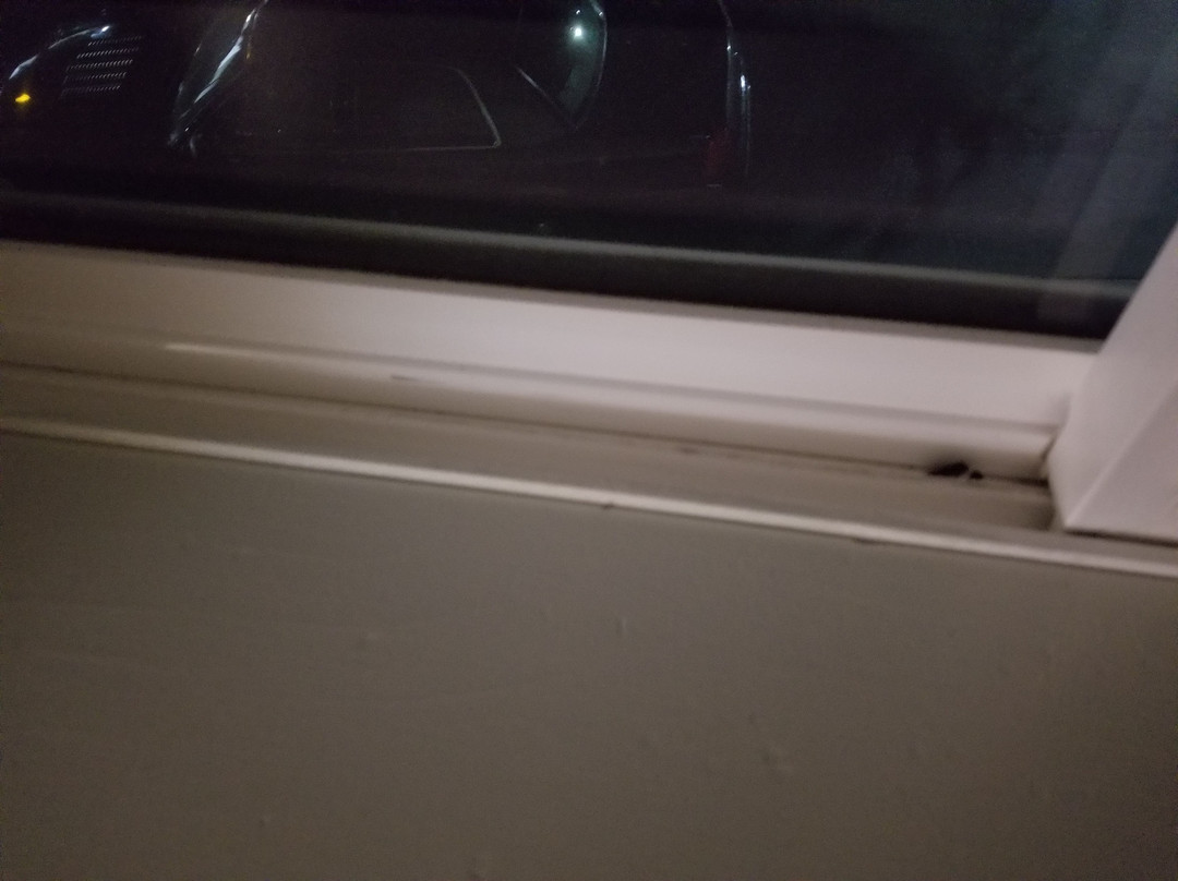 Best Western Plus Delta Inn & Suites主图