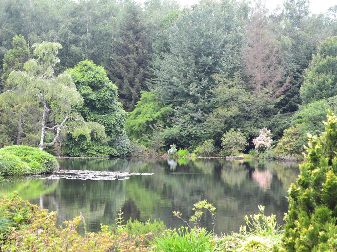 Jardin Botanique de Gondremer景点图片