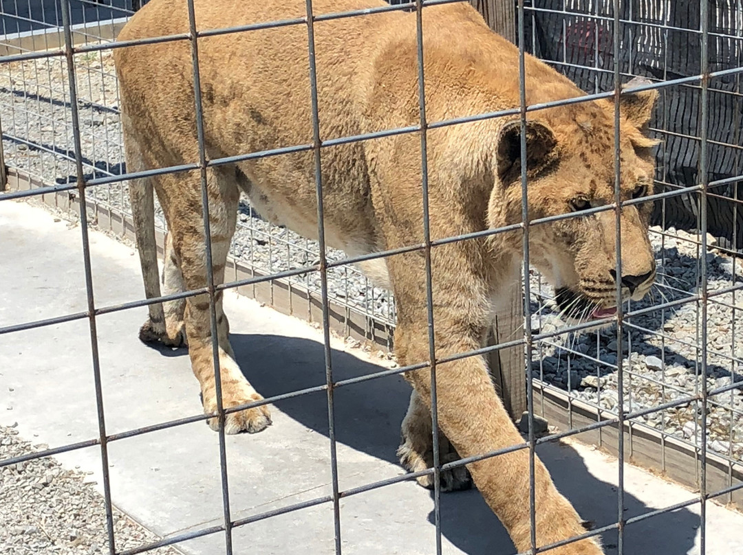 Wildlife In Need, Inc.-Charlestown必去景点