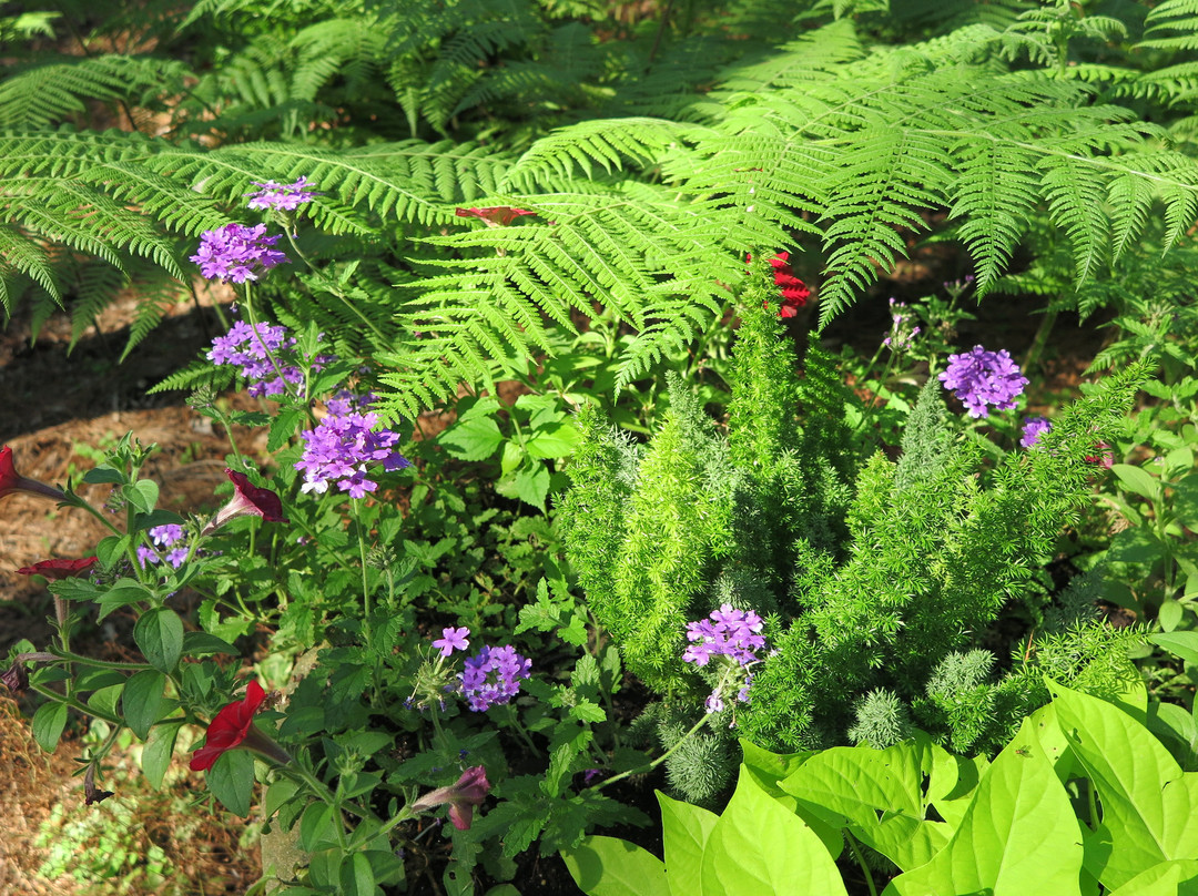 Aldridge Gardens-Hoover必去景点