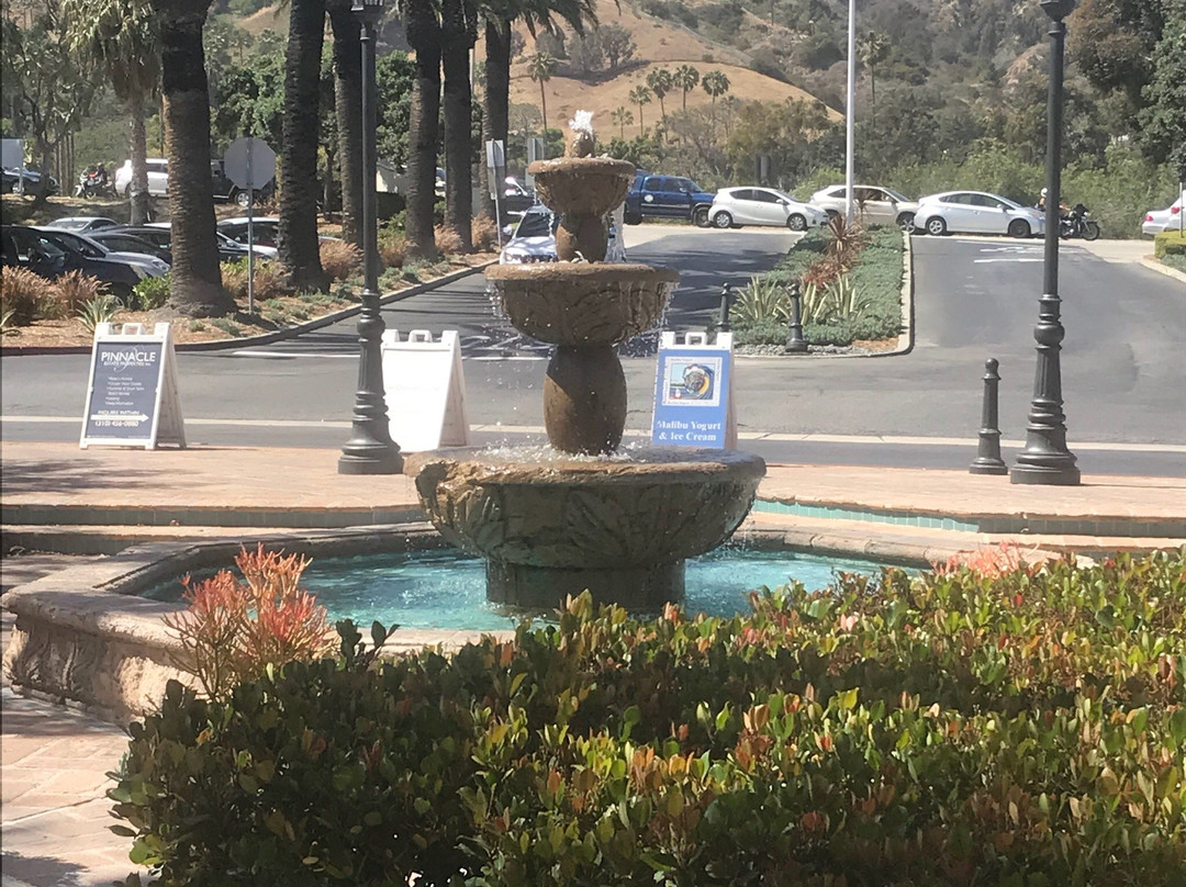 Malibu Yogurt & Ice Cream