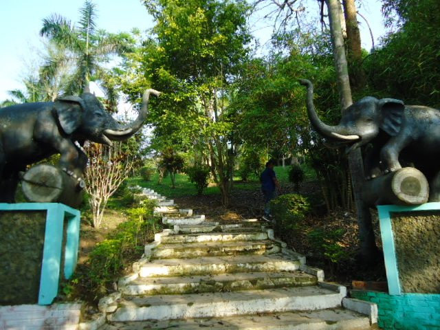 Botanical Garden-Diphu必去景点