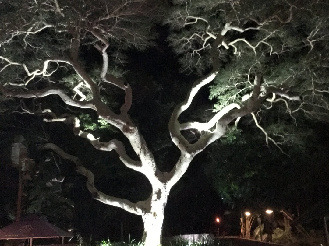 Anew Hotel Hluhluwe主图