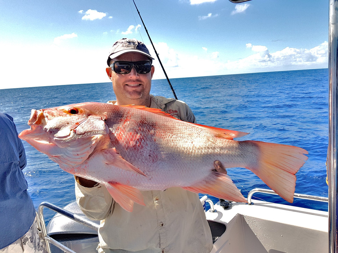 Reef Fish & Dive 1770-Agnes Water必去景点