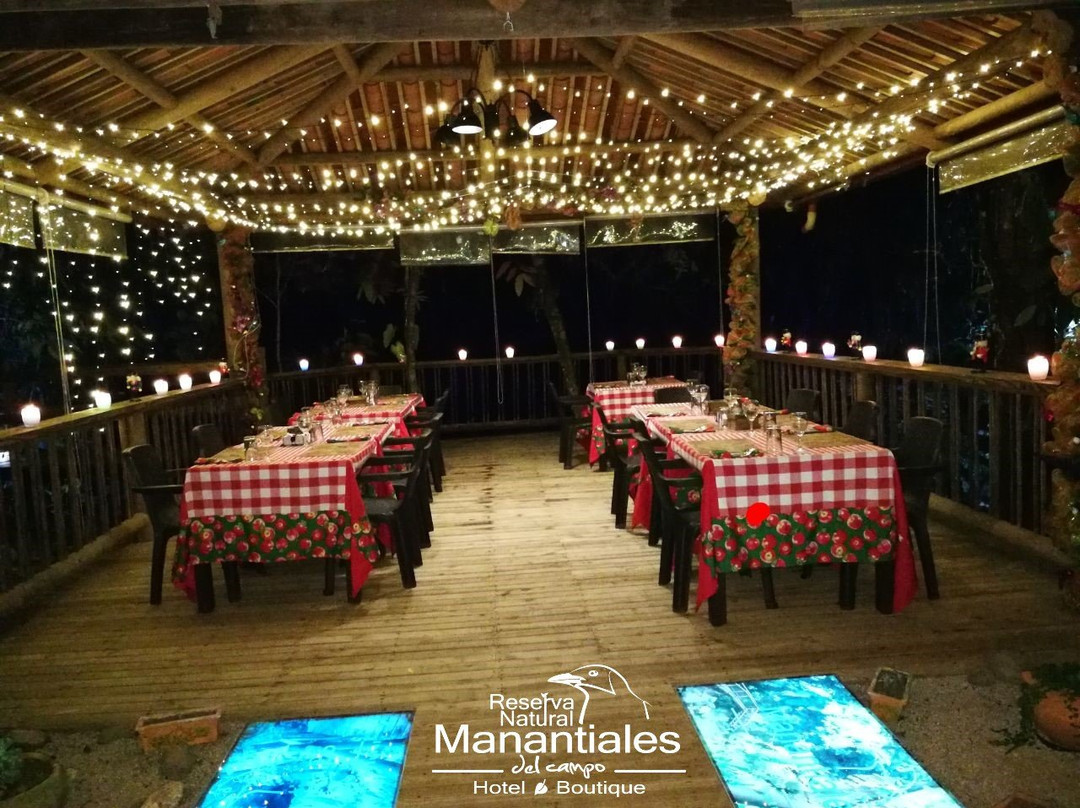 Manantiales del Campo主图