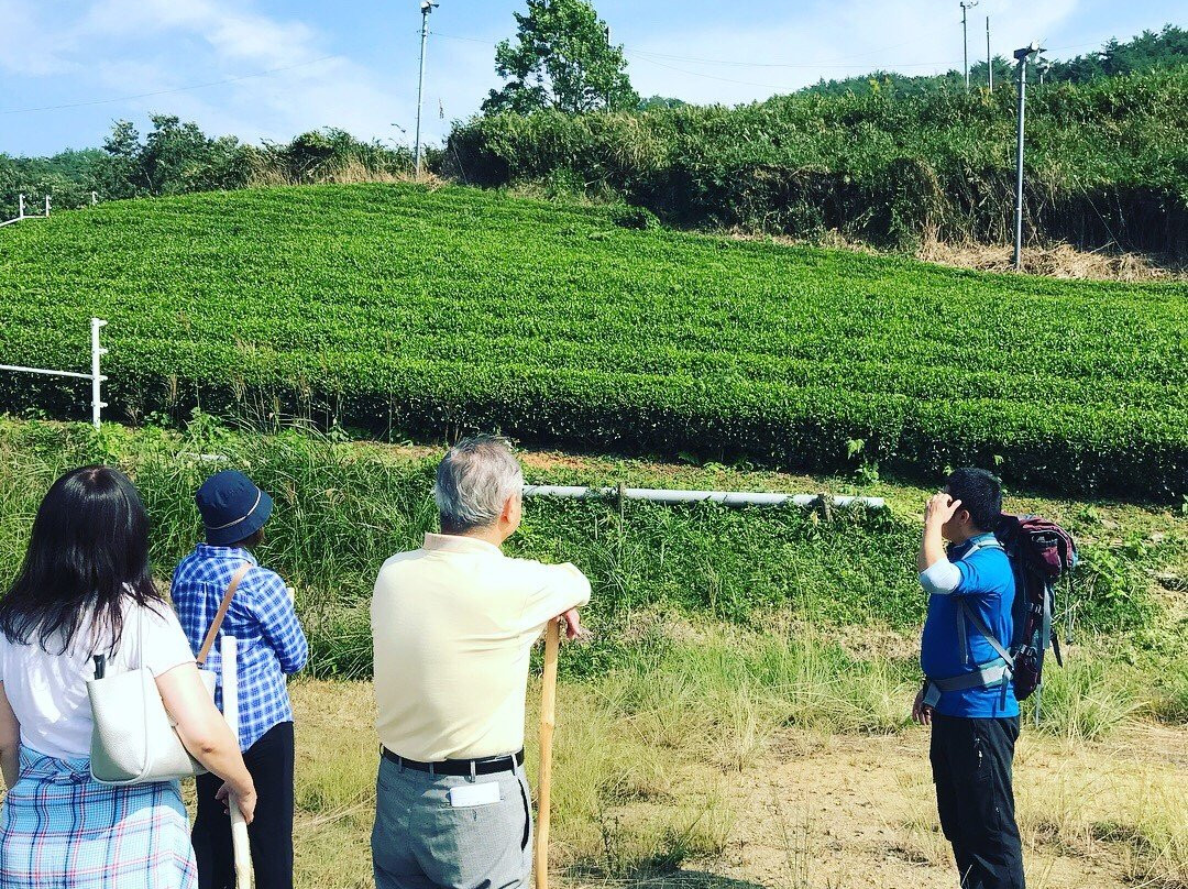 Terrace Resort asago主图