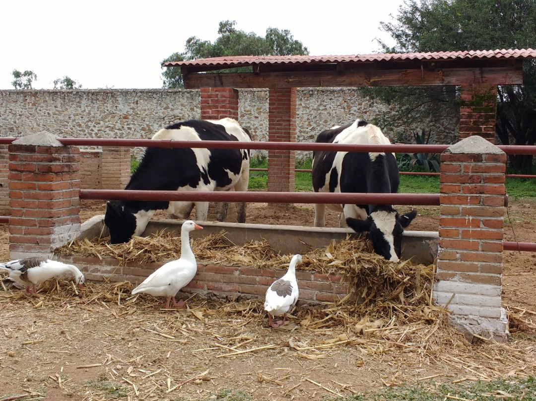 Vive Disfruta Mexico-克雷塔罗必去景点