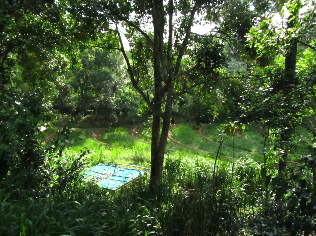 Santani Wellness Kandy主图