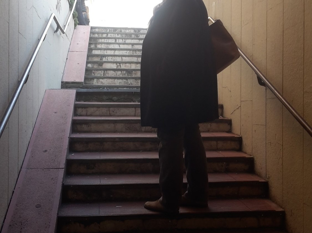Bologna Fotografata. Tre Secoli di Sguardi-博洛尼亚必去景点