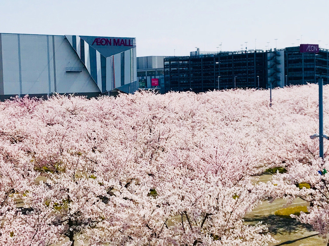 Sakura Hiroba景点图片