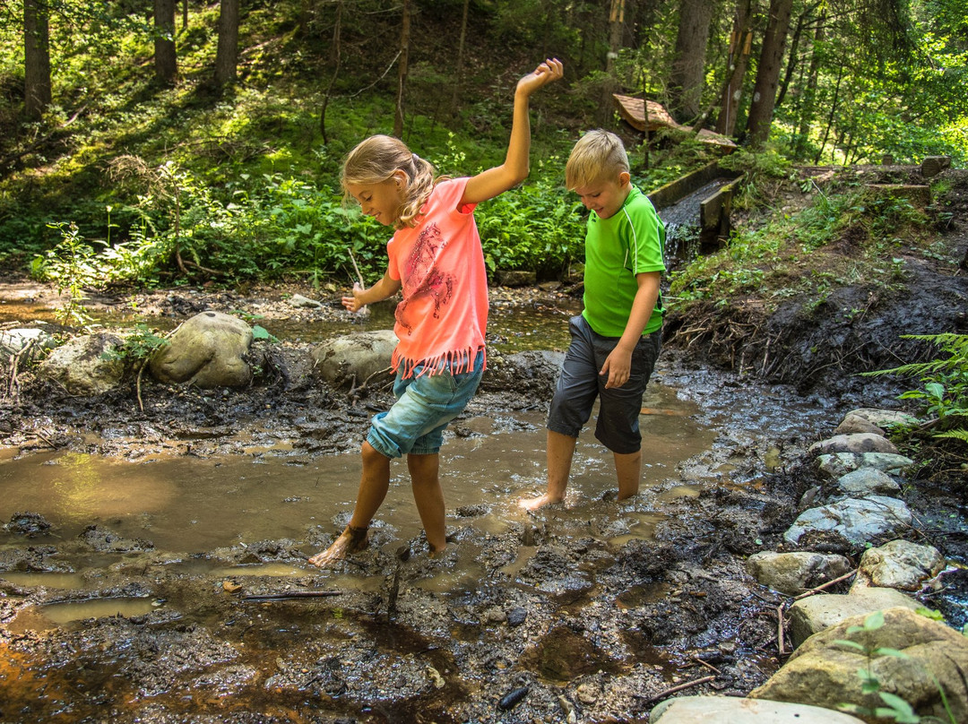 Woroun auf der Spur - Barfuss durch den Drachenwald