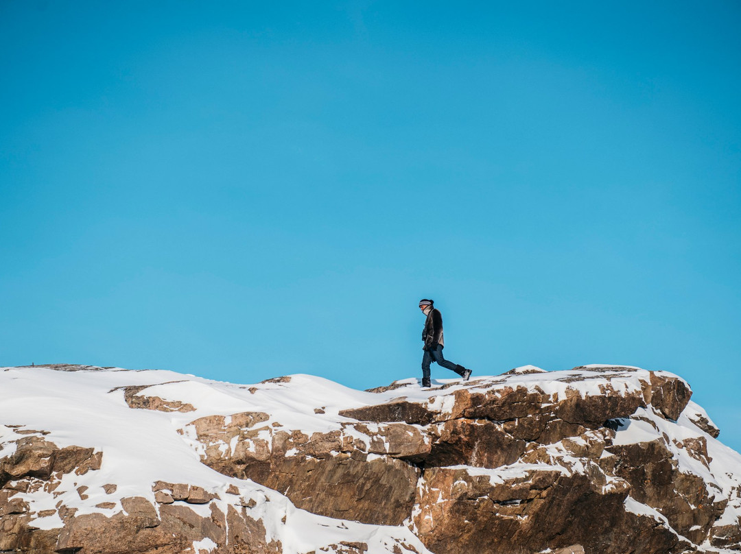 The Frobisher Inn主图