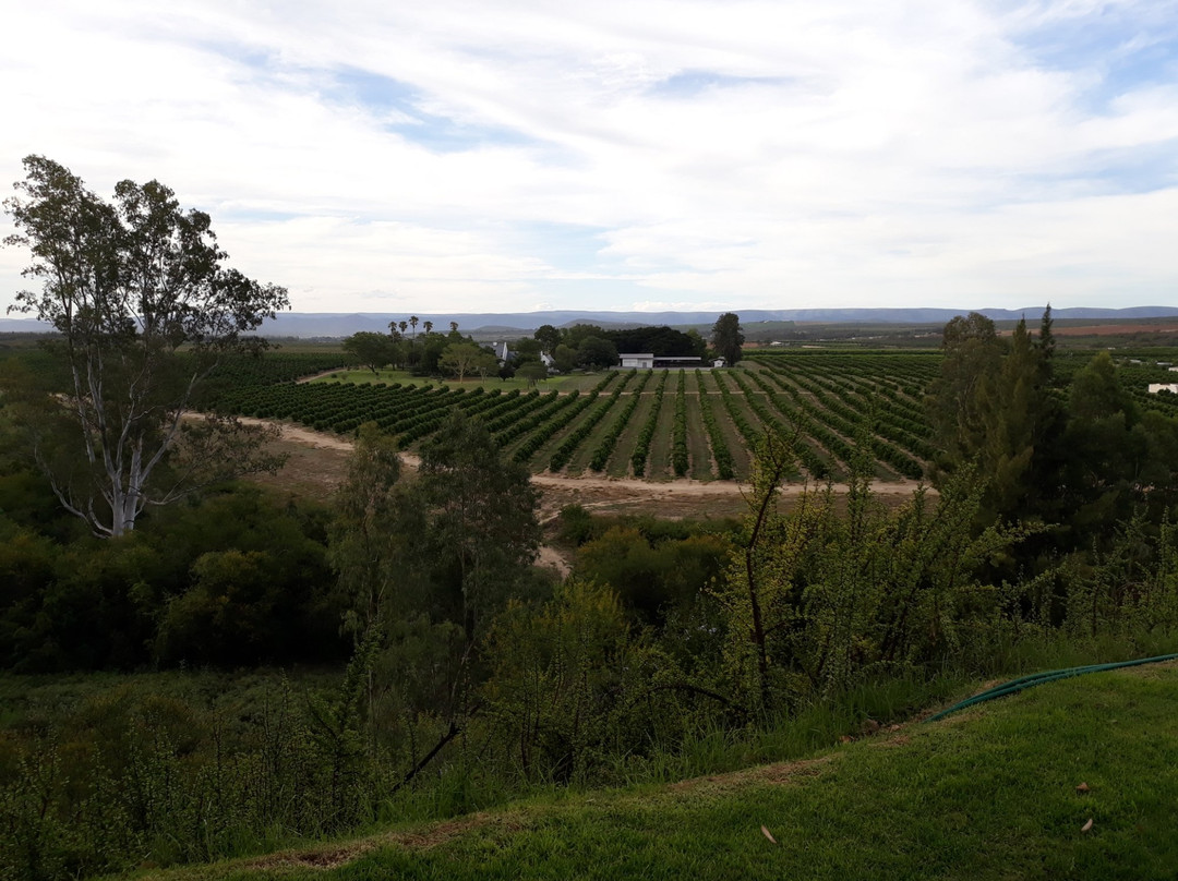 Avoca River Cabins主图