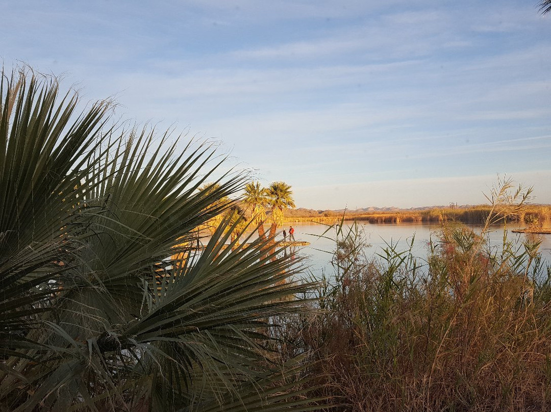 Mittry Lake Wildlife Area-尤马必去景点