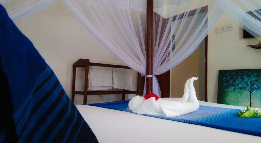 Galle Camellia主图