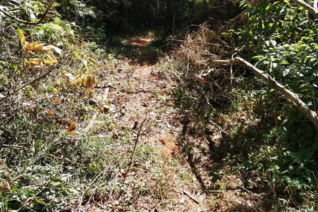 Cachoeira Alta-Ipoema必去景点