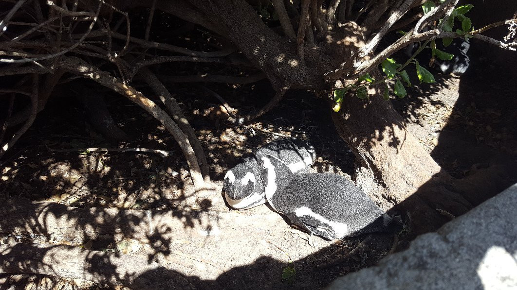 Shark Warrior Adventures-西门镇必去景点