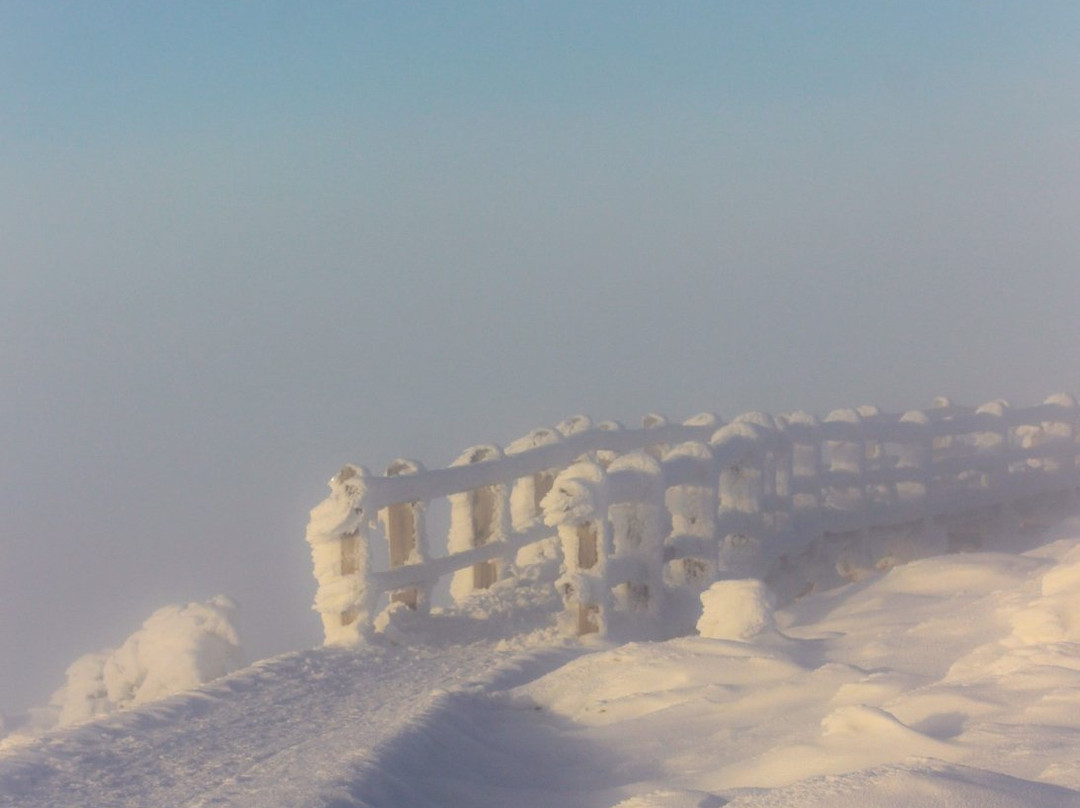 Huippupolku, Peak Trail in Levi-Levi必去景点