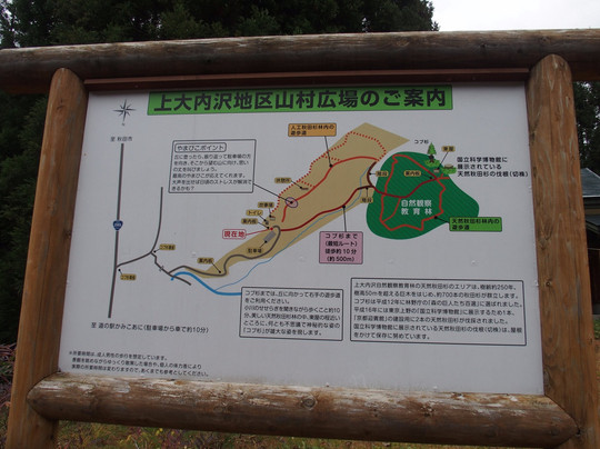 Kamiouchisawa Nature Observation Training Forest-上小阿仁村必去景点