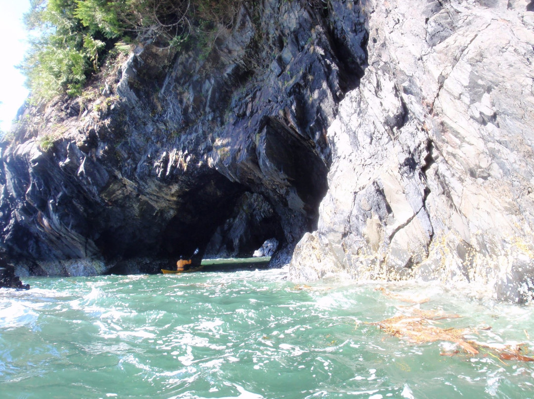 Go Kayak Sea Kayak Instruction景点图片