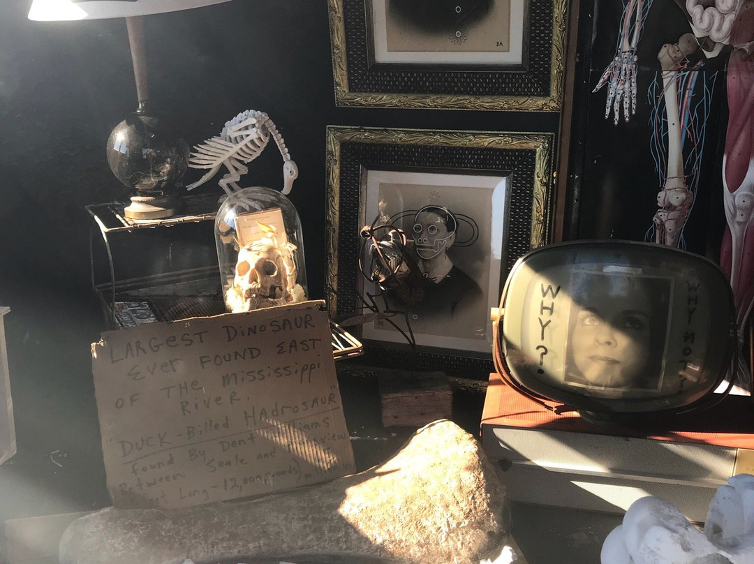 Drive Through Museum-Seale必去景点