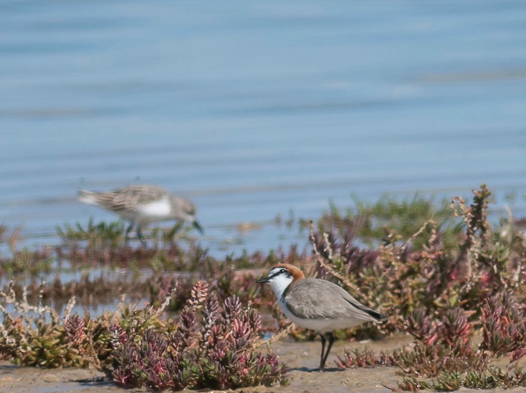 Jack Smith Lake State Game Reserve