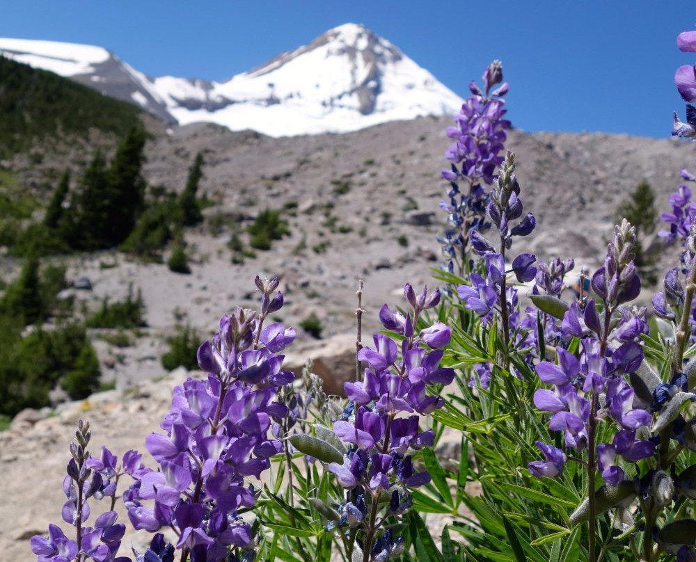 Cooper Spur Hike-胡德里弗必去景点
