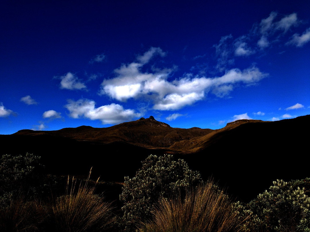 Somos Monos Travel-佩雷拉必去景点