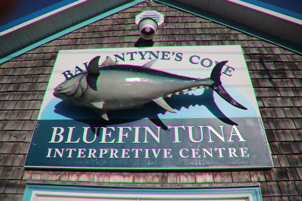 Ballantyne's Cove Tuna Interpretive Centre-安蒂岗尼希必去景点