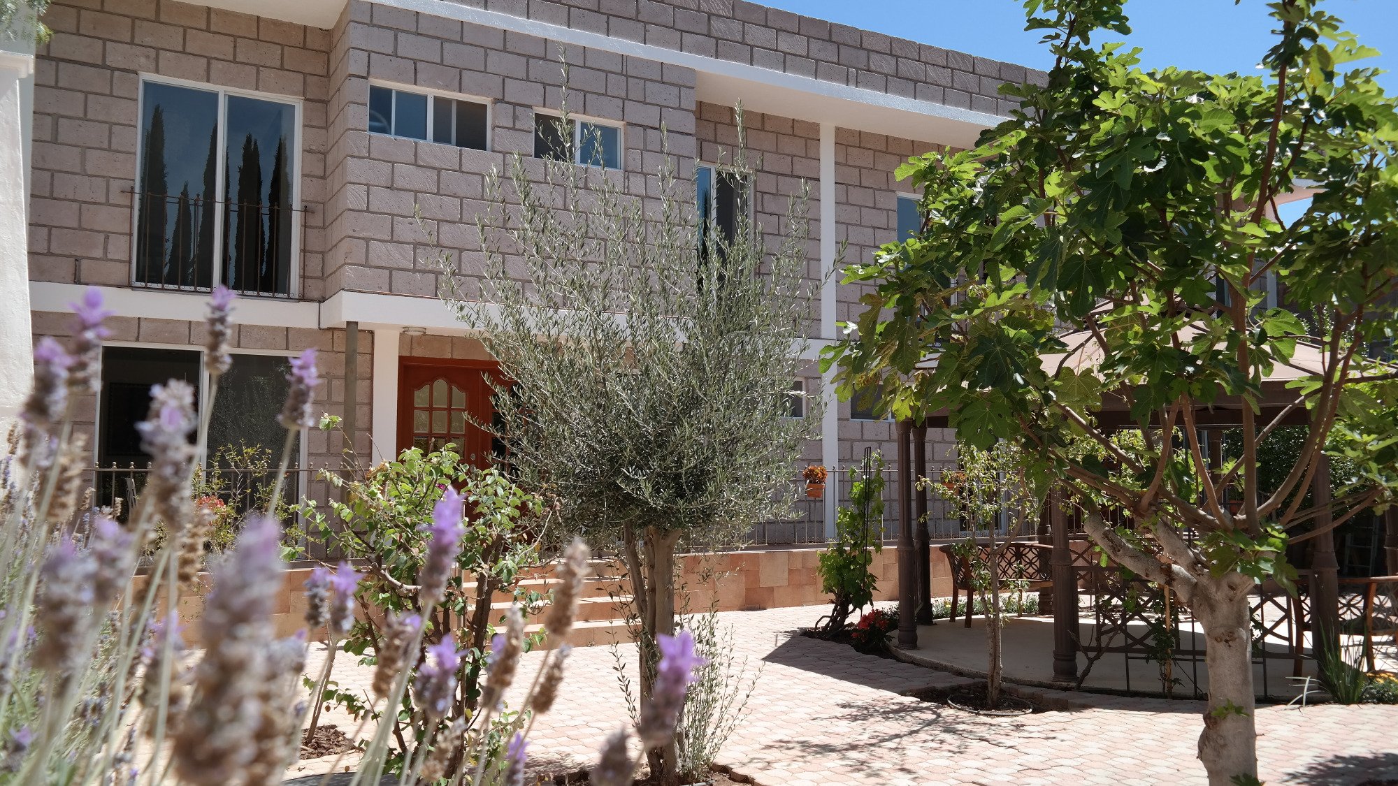 B&B Tulipanes-浴室