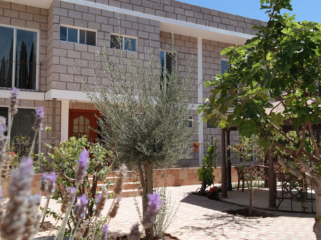 Soledad de Graciano Sanchez Municipality酒店住宿-B&B Tulipanes