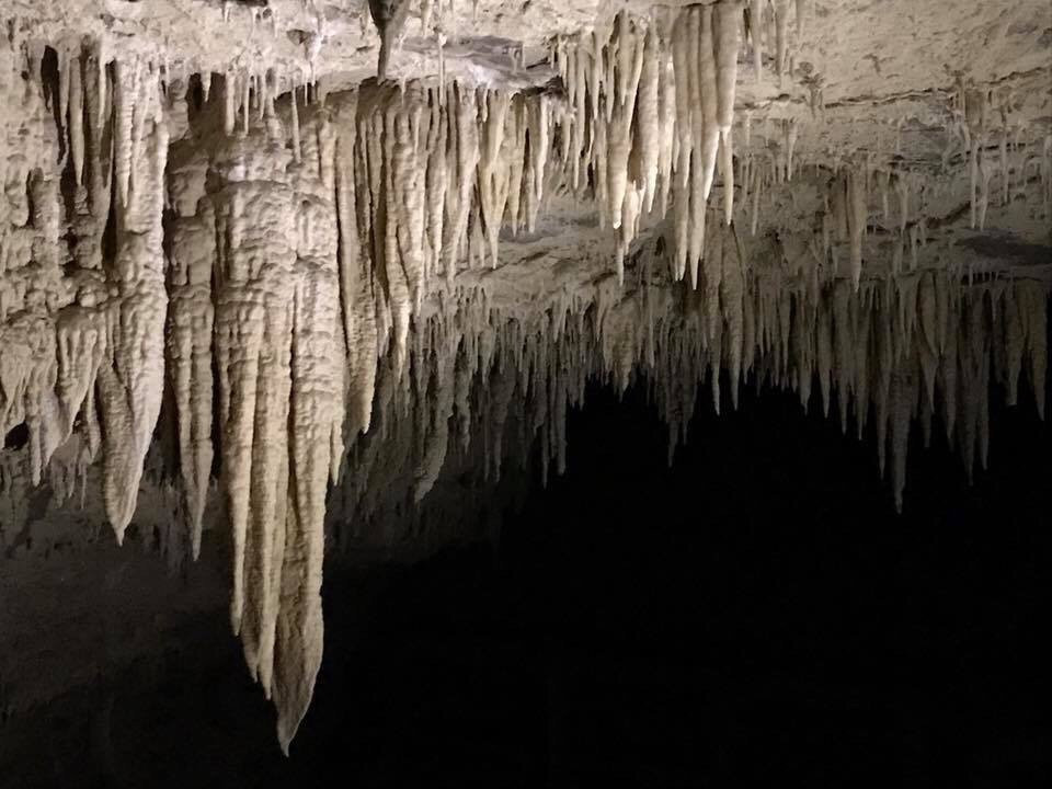 怀托摩洞穴旅游攻略图片