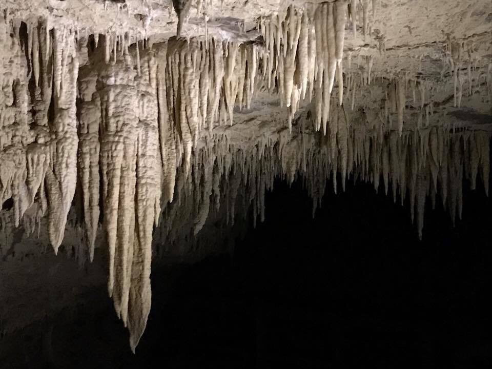 Footwhistle Glowworm Cave景点图片