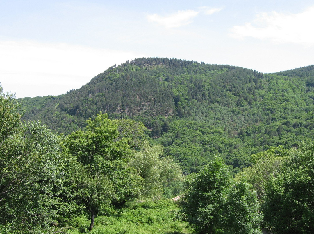Le Volcan d'Aizac - Gîte & Chambres d'hôtes主图