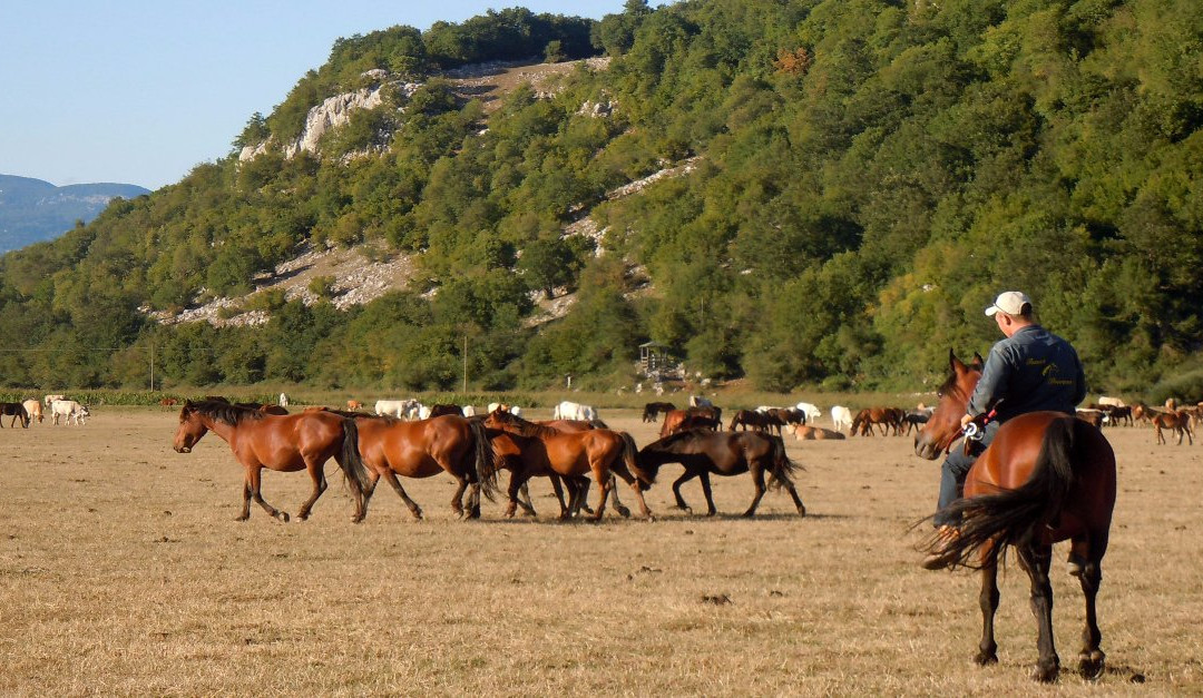 Ranch Brionna-Castel di Sangro必去景点