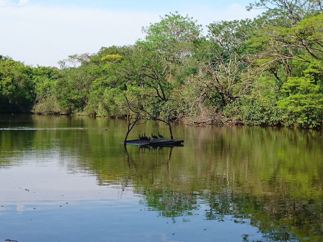 Parque Ecológico Eugênio Walter景点图片