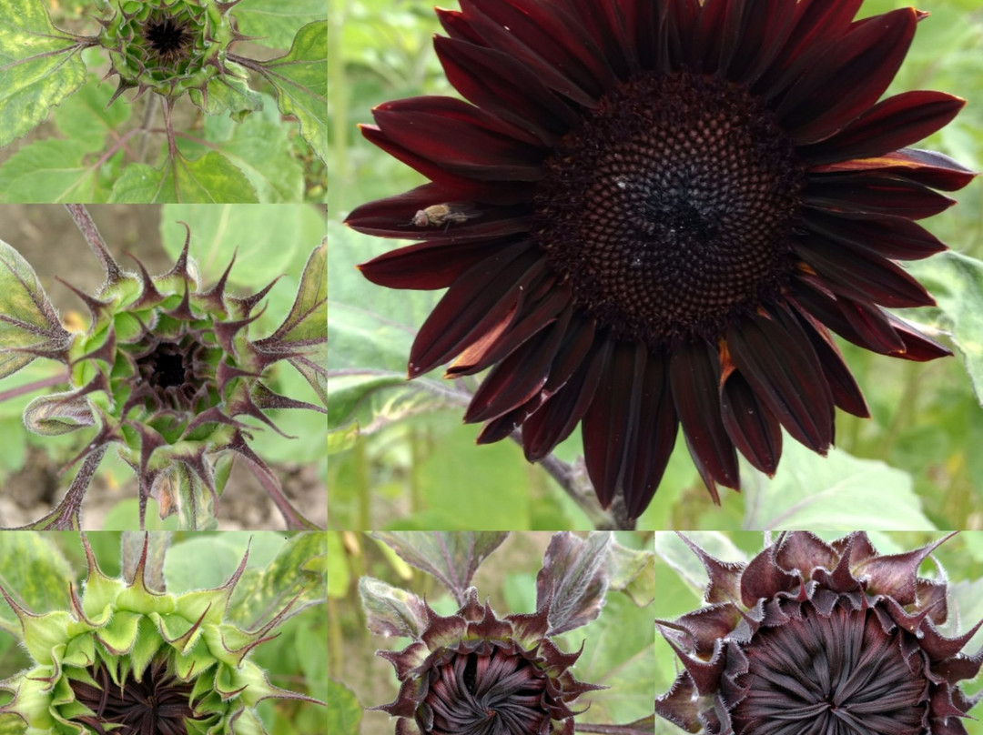 Round The Bend Farm-Kettleby必去景点