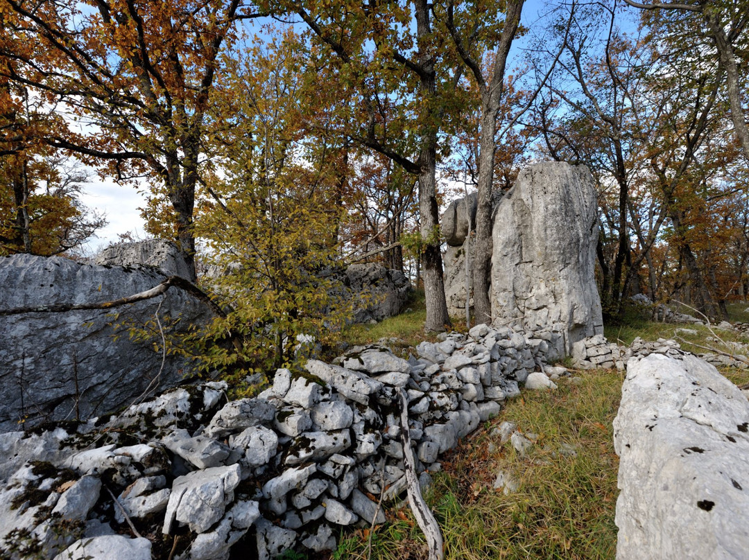 Karst Living Museum-Sezana必去景点