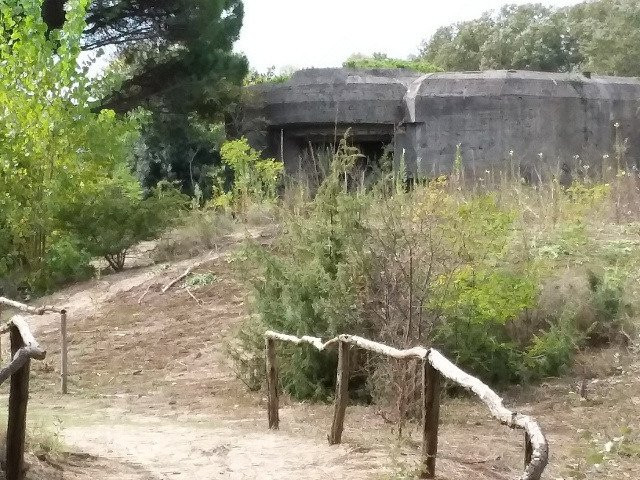 Forte Ca' Roman-Pellestrina必去景点