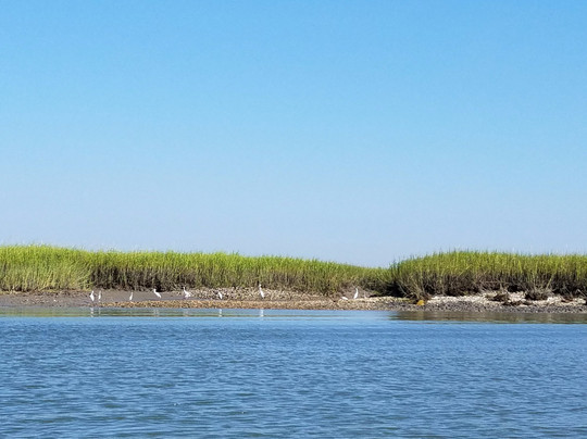Crabdaddy's River Adventures-泰碧岛必去景点