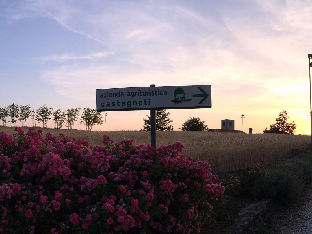 San Benedetto Val di Sambro旅游攻略图片