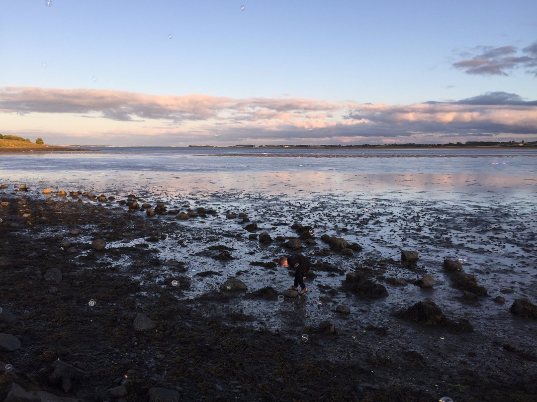 Island Hill & North Strangford Nature Reserve景点图片