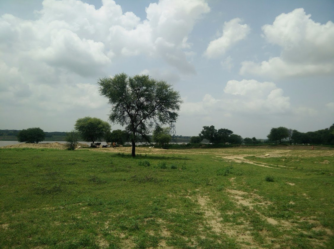 National Chambal Sanctuary NCS-阿格拉必去景点