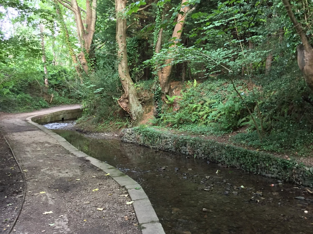 Fairy Glen Local Nature Reserve景点图片