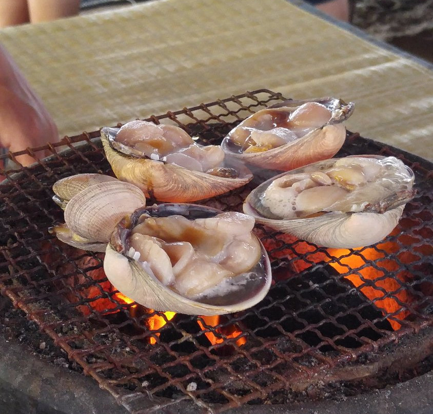 Gotemba Beach-津市必去景点