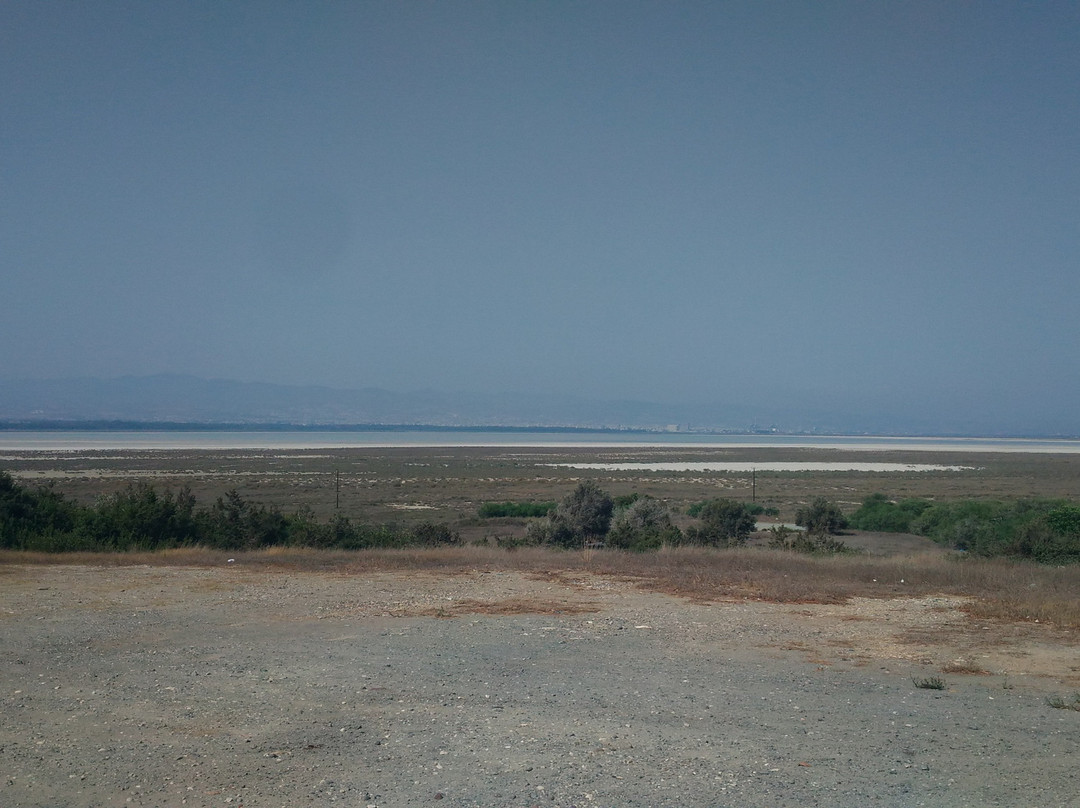 Akrotiri Salt Lake-Akrotiri必去景点