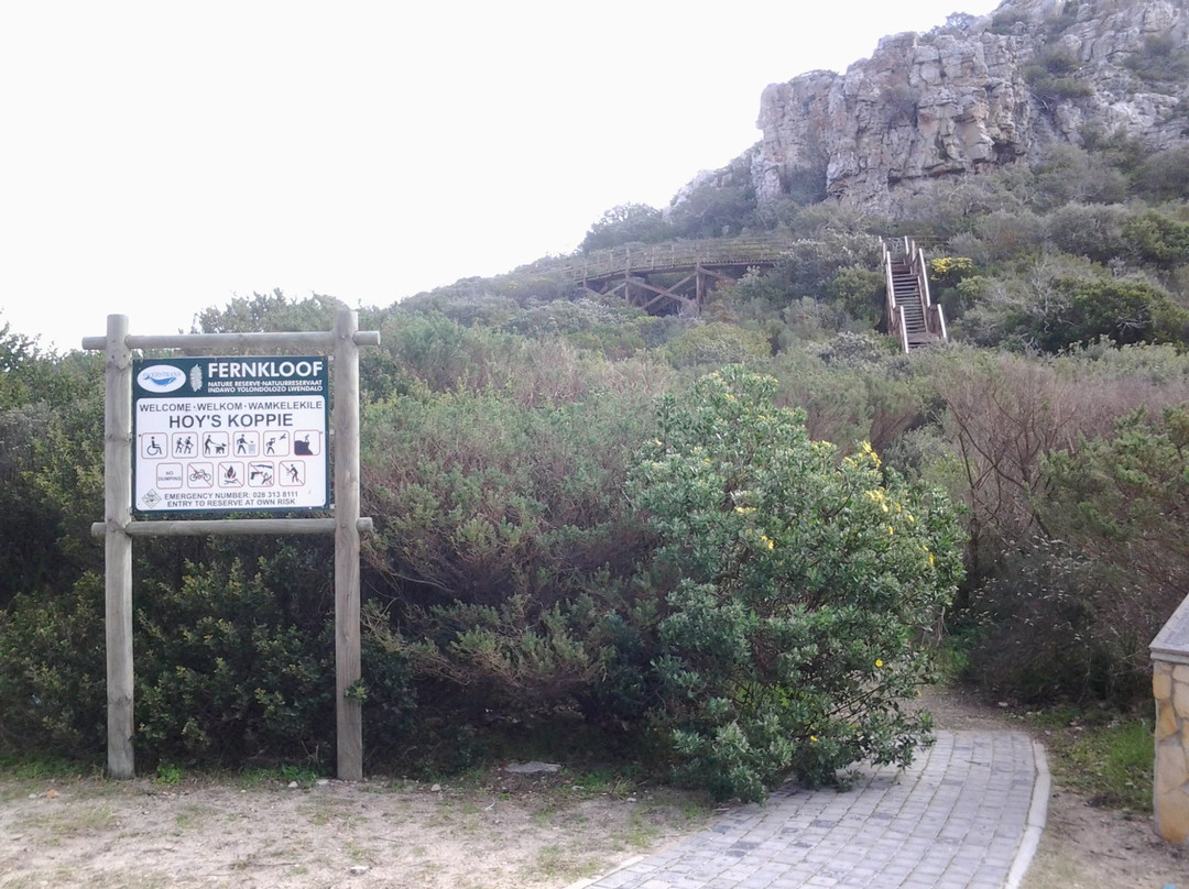 Hoy's Koppie-赫曼努斯必去景点